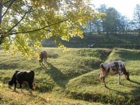 un minunat prilej de odihna